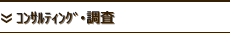 ｺﾝｻﾙﾃｨﾝｸﾞ･調査研究
